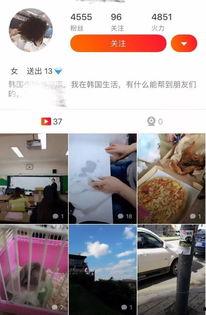 假视频直播爆料,揭秘幕后黑手与虚假信息传播