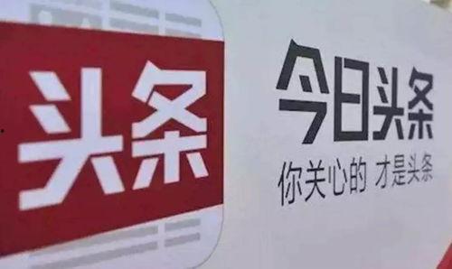 今日头条大四毕业爆料,揭秘校园生活与就业真相