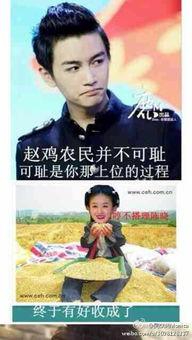 娱乐圈爆料帖,明星背后的惊人真相