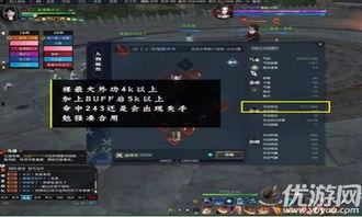 逆水寒红衣爆料攻略视频,揭秘红衣角色玩法与技巧