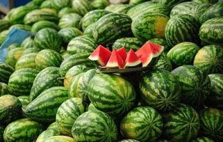 江门网红吃瓜事件真相,揭秘背后真相与争议