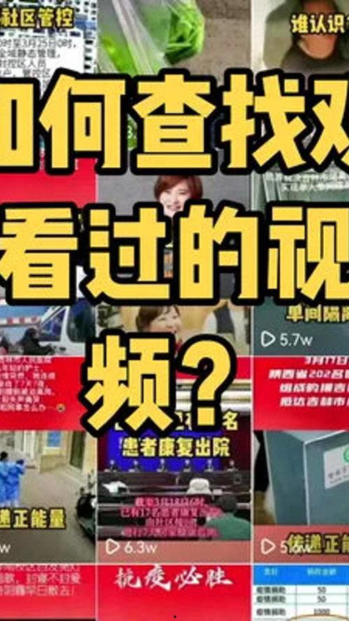 小妙招爆料视频大全,视频大全中的实用技巧分享