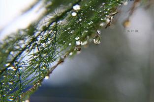 恋的水滴在线观看,浪漫邂逅，情感之旅